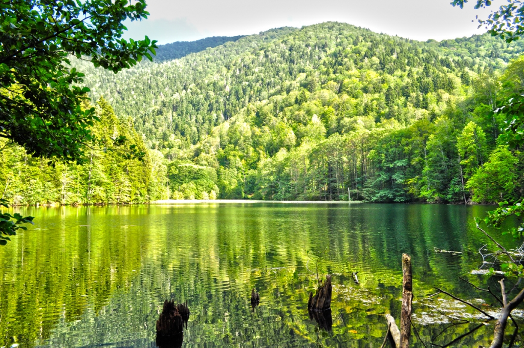 შიდა ქართლში ზაფხულის ტურისტული სეზონისთვის მზადება უკვე დაიწყო