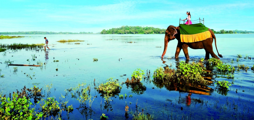 ტურიSri Lanka