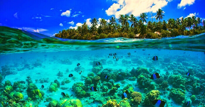 ტურიSeychelles