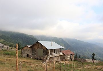 10 დღიანი დასასვენებელი ტური შავი ზღვის რეგიონში